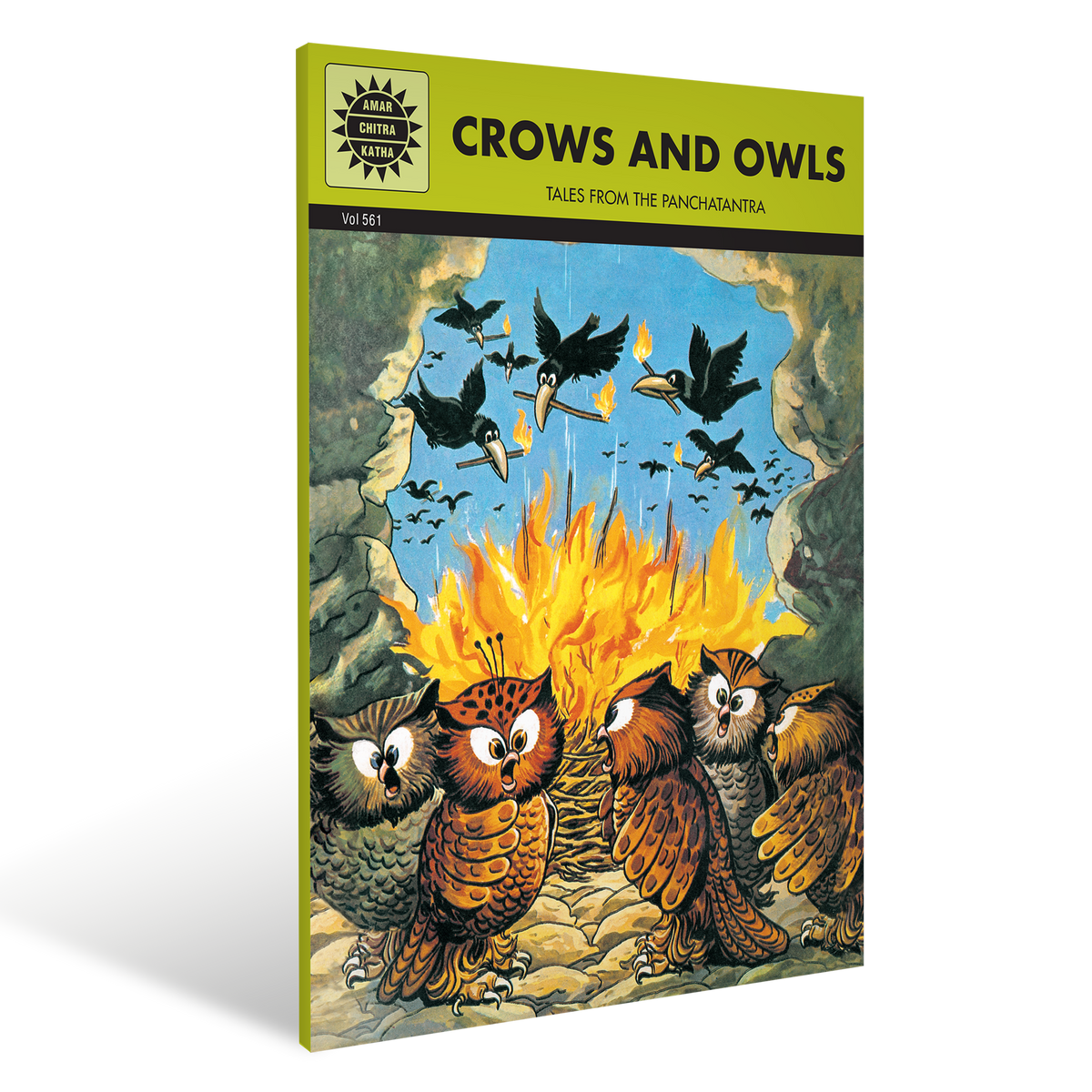 Crows and Owls