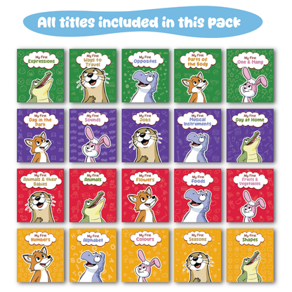 My First Learning Box Set (20 Board Books)  - PRE ORDER