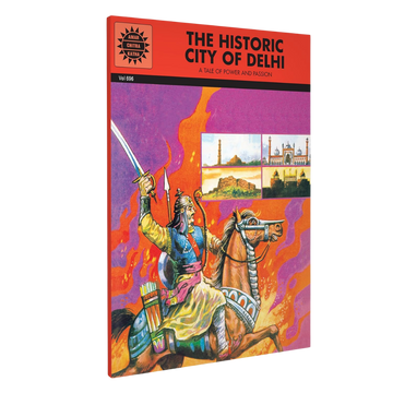 The Historic City Of Delhi